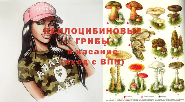 ГАЛЛЮЦИНОГЕННЫЕ ГРИБЫ Алексин